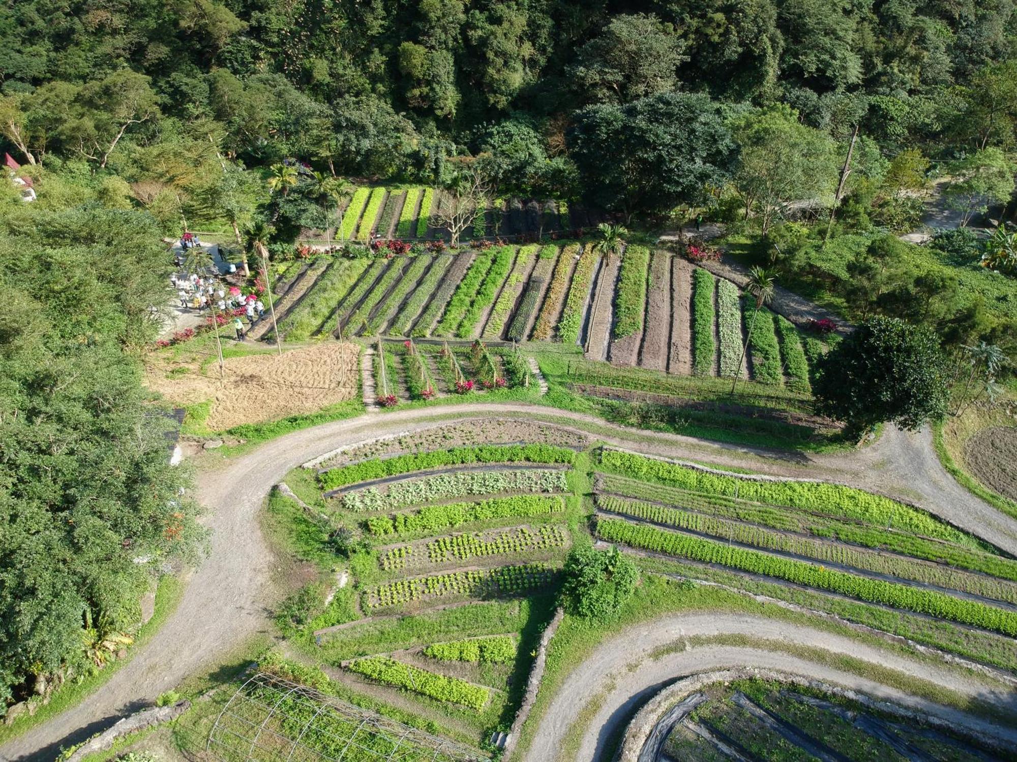 Tou-Cheng Leisure Farm Hotel Toucheng Buitenkant foto