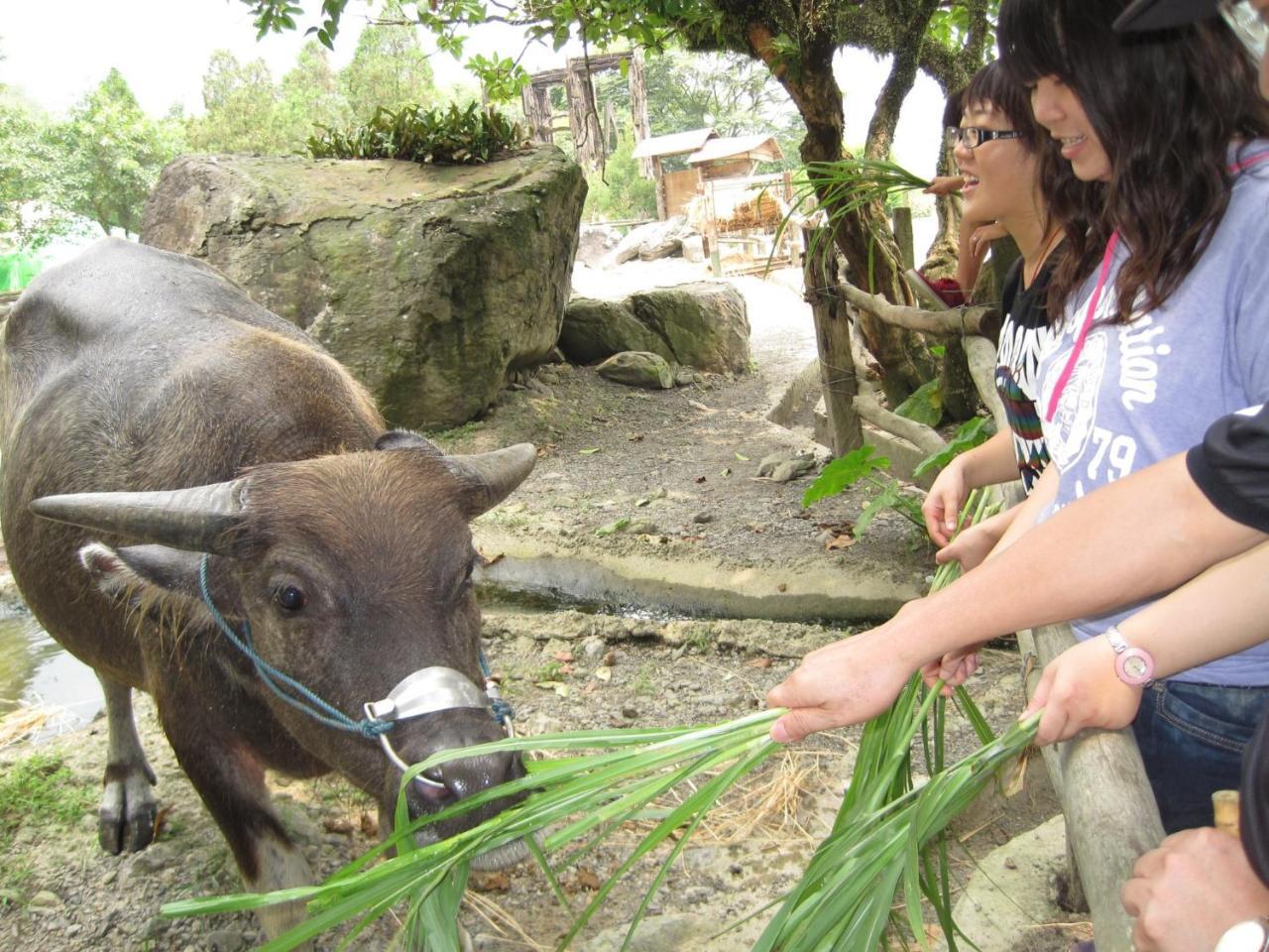 Tou-Cheng Leisure Farm Hotel Toucheng Buitenkant foto